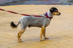 Bo fajnym trzeba się urodzić :))))