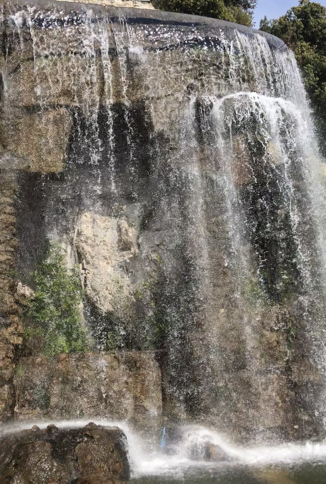 Postulantes