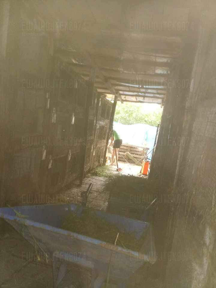 20190702_195553.jpg - ewawojtek8074