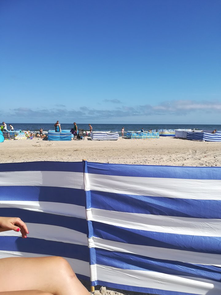 IMG_20190711_103204.jpg - dig25cm