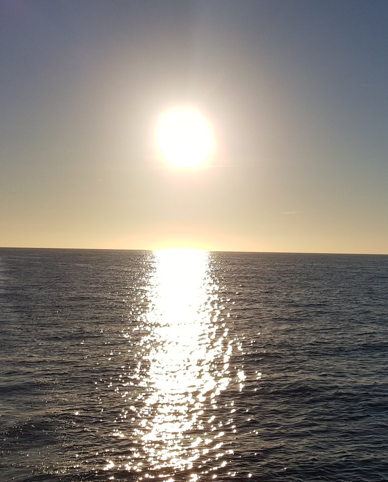 20190711_182544.jpg - tomren7073