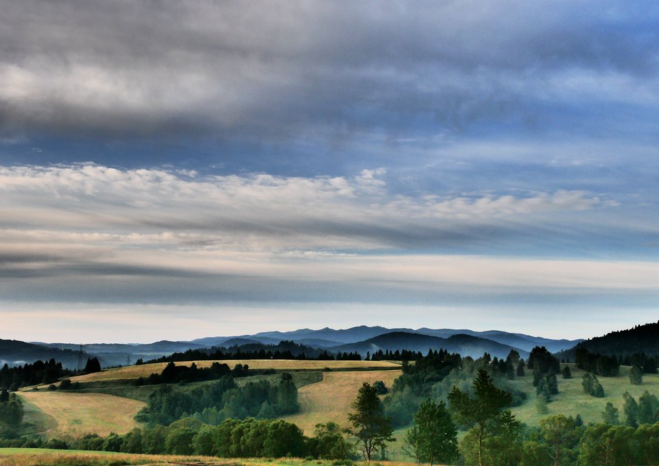 P1060947.jpg - FoKam431