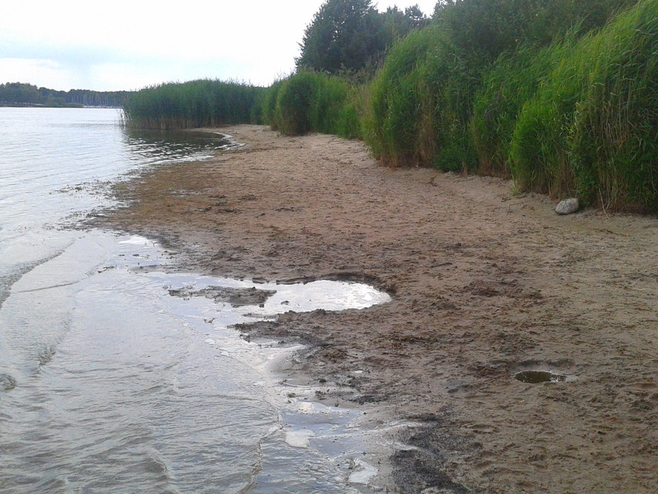 Zdjęcie-0088.jpg - lookin_