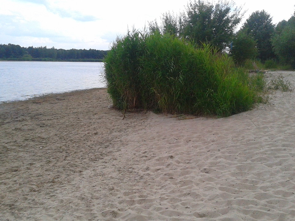 Zdjęcie-0090.jpg - lookin_