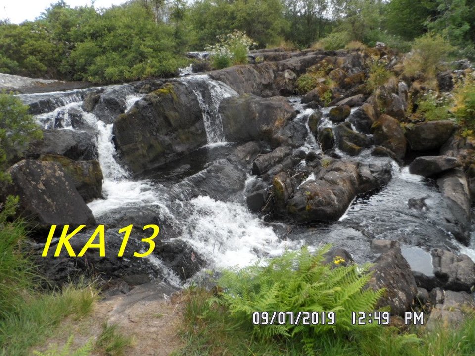 SAM_2120.jpg - ika13