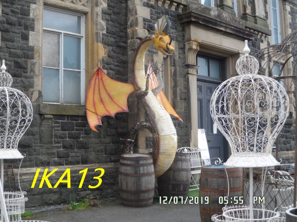 SAM_2134.jpg - ika13