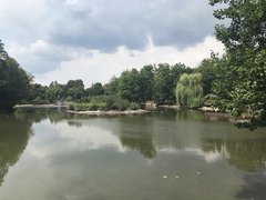 susza , Zwierzyniec zalew Z kościółkiem