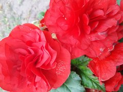 20190713_171859.jpg