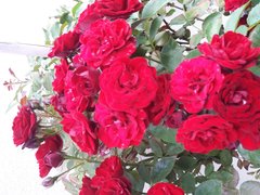20190713_171913.jpg