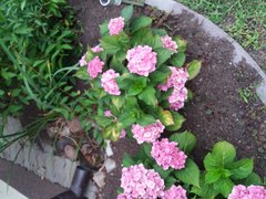 20190713_171931.jpg