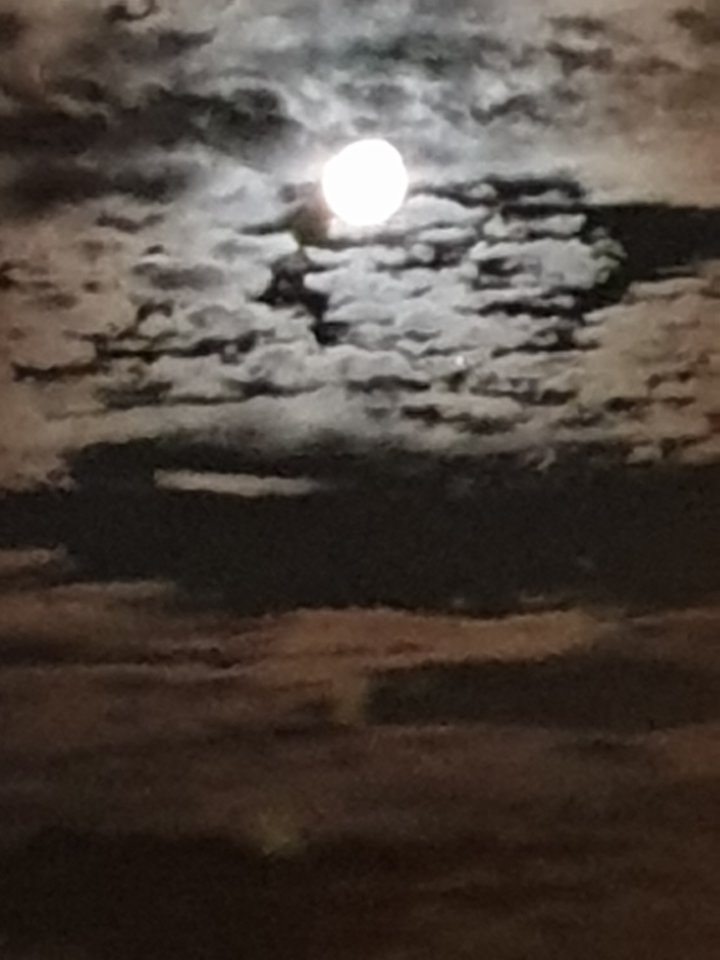 20190714_001556.jpg - reporter13