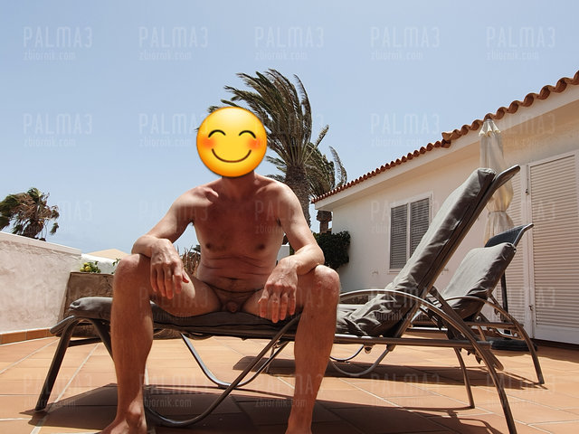 palma3