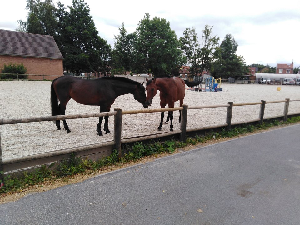 IMG_20190713_175236.jpg - Przemodkl79