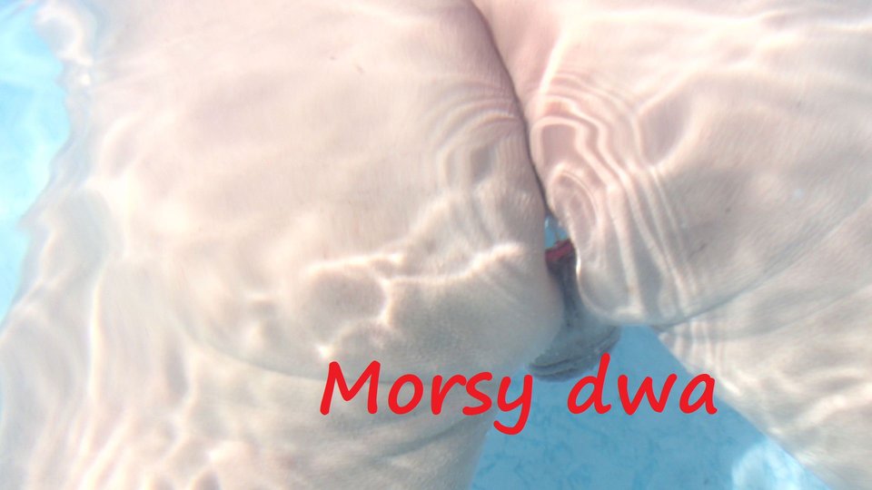 Pod wodą. - Morsy_dwa