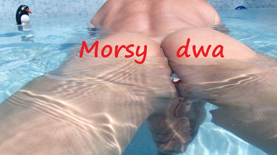 Z pingwinkiem. - Morsy_dwa