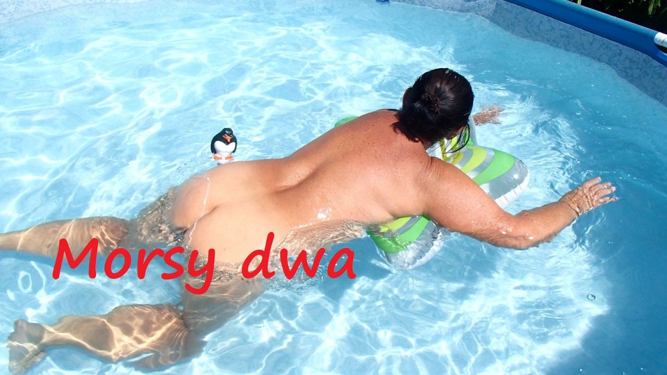 Z pingwinkiem. - Morsy_dwa