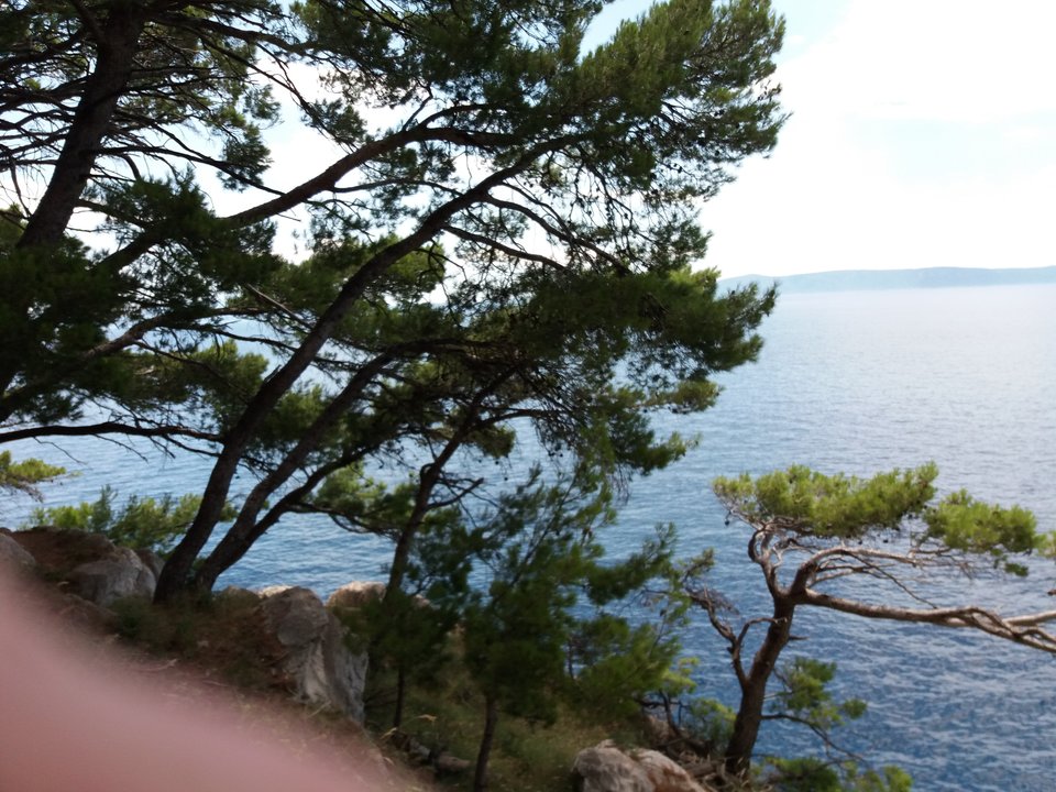 20180710_130141.jpg - para3280