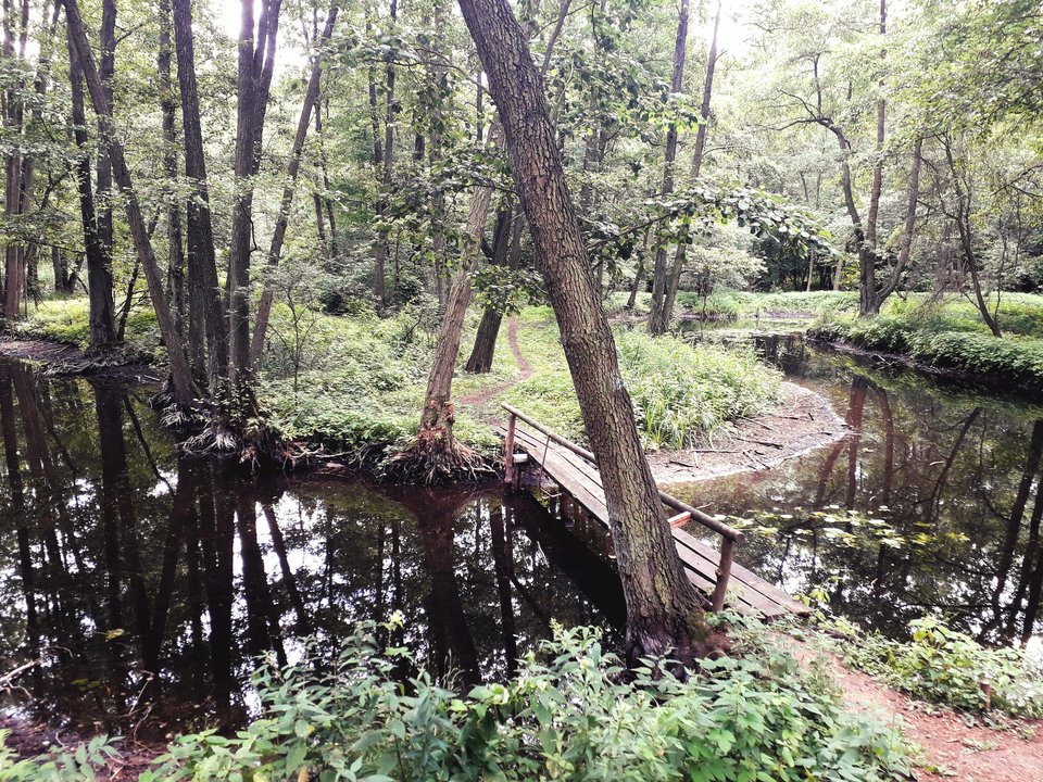 20190716_183613.jpg - Alien65