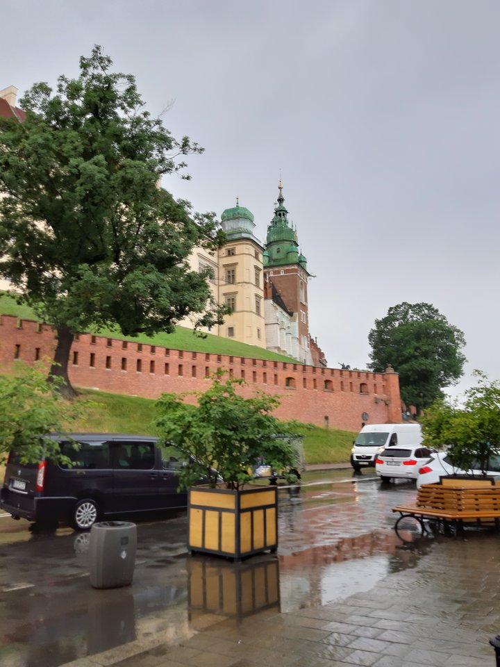 Wawel - OldLady
