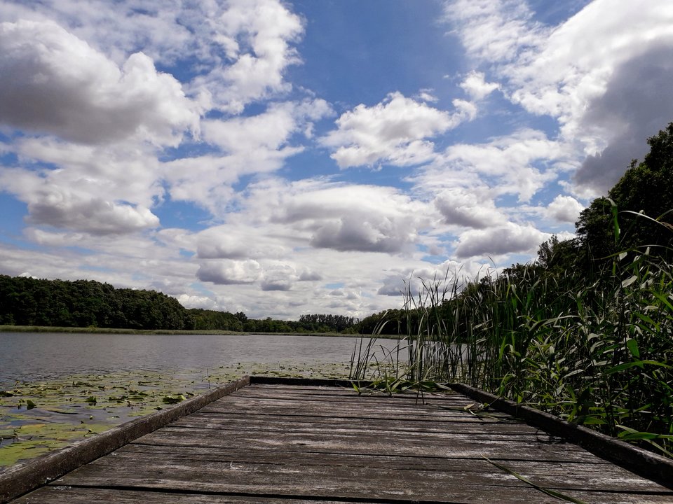 20190717_133625.jpg - Alien65