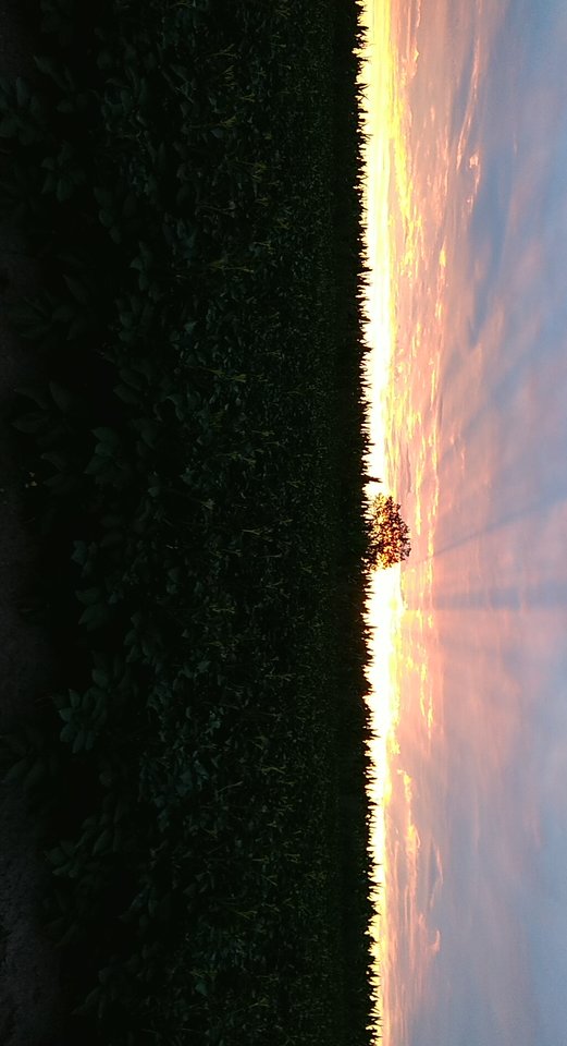 PANO_20190709_044945.jpg - darko7272