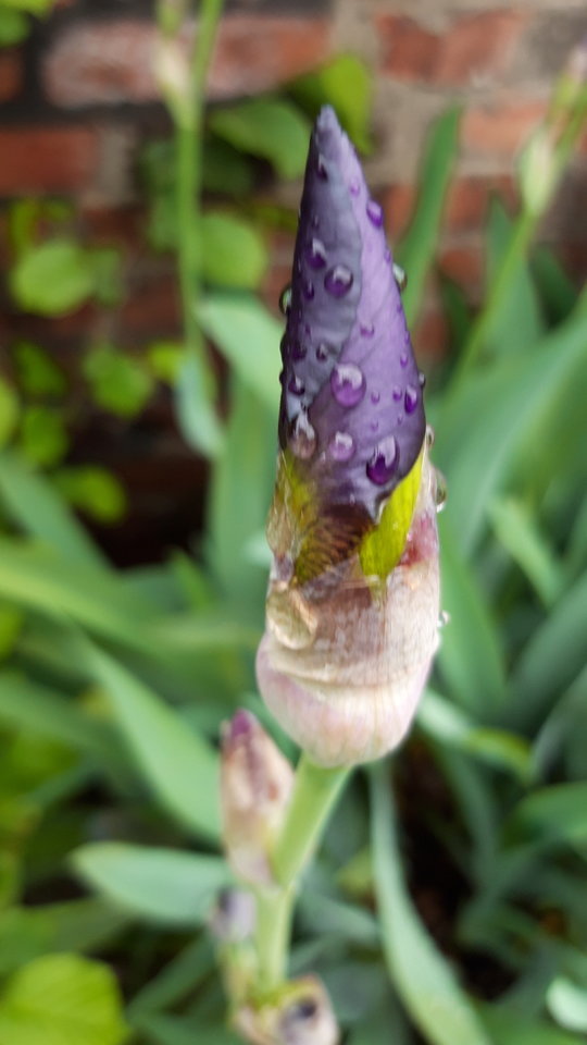 20190516_094203.jpg - Any72