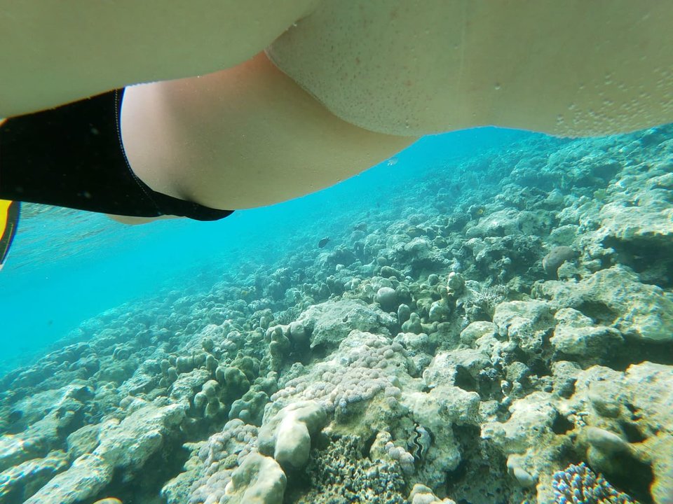 Gdzie jest nemo... - lukaszdanuta