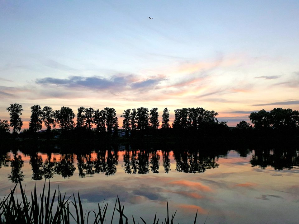 20190708_181307.jpg - Alien65