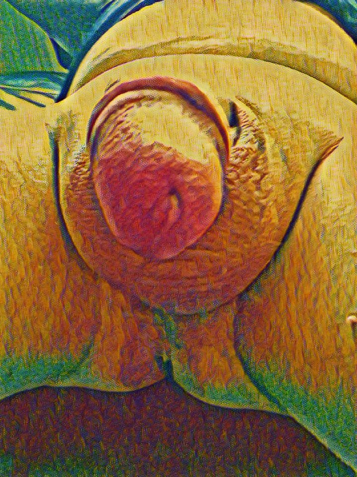 IMG_2019-7-19_7-9-38_111.jpg - dino8