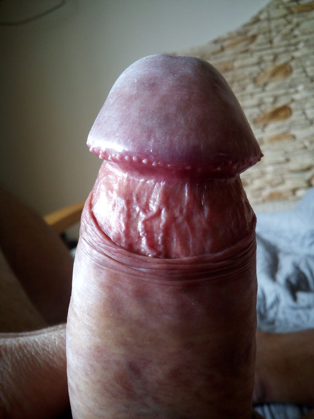 chwytajdziencarpediem