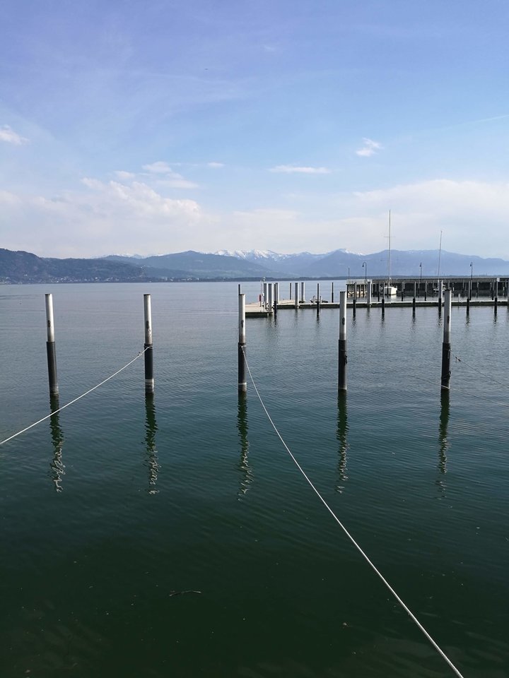 received_469234337188478.jpeg - Frelka_ze_wsi