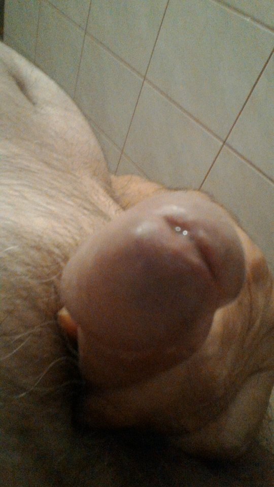 67421075_344205086501321_4060389071489335296_n.jpg - konrad5258