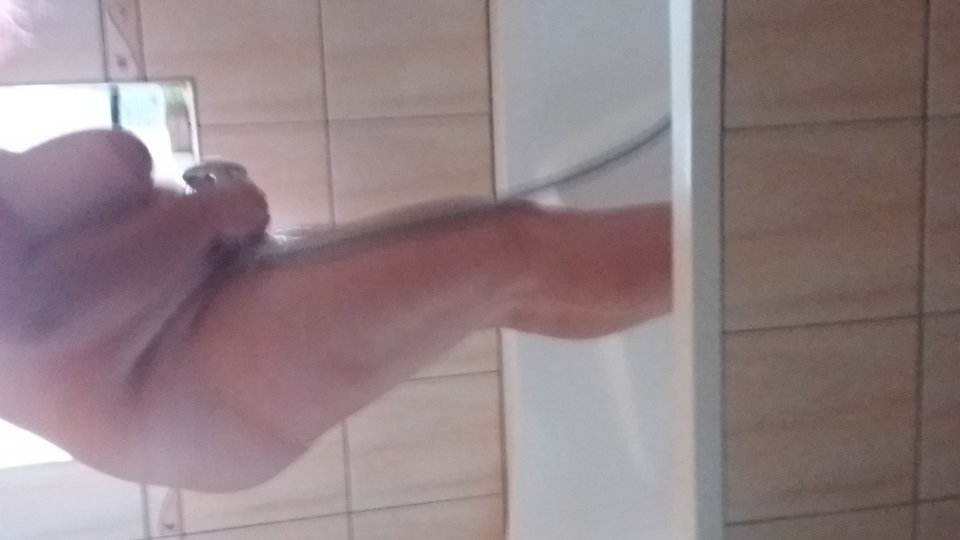 20190720_073432.jpg - my999