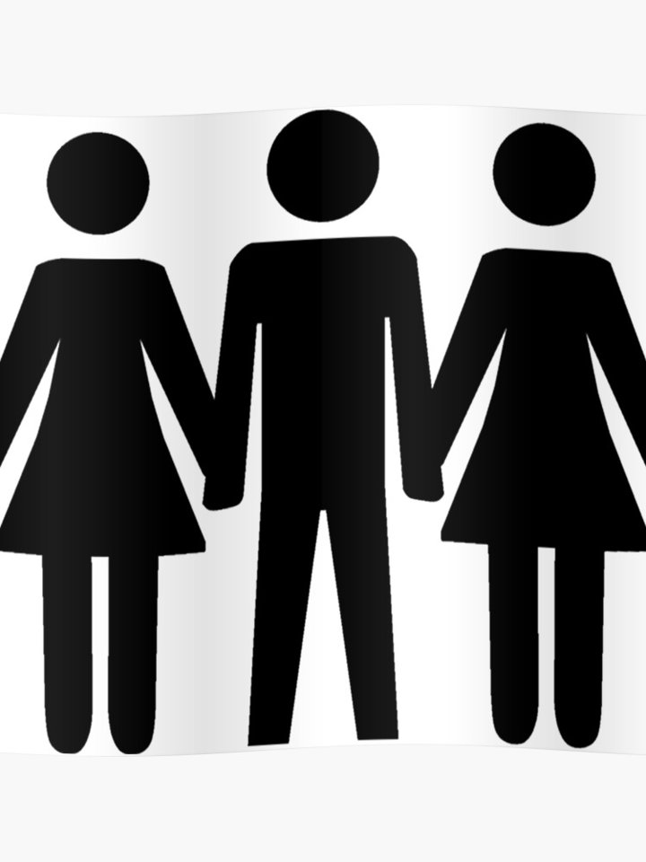 poster,840x830,f8f8f8-pad,750x1000,f8f8f8.jpg - Evaluator