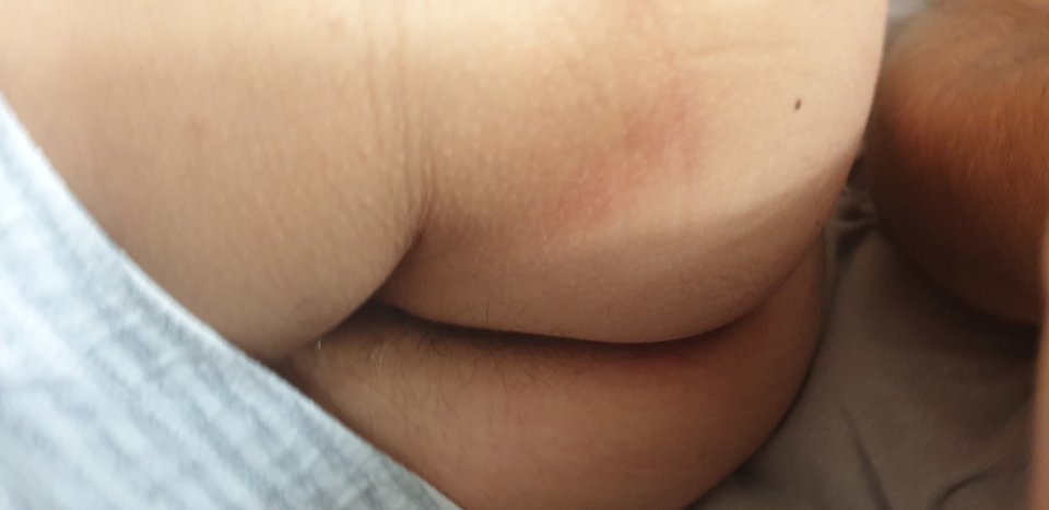 20190721_095106.jpg - DZG