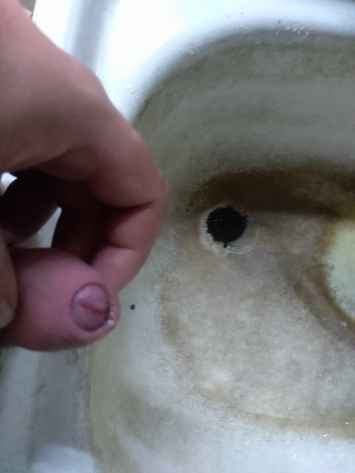 IMG_20190721_164025.jpg - cinek994