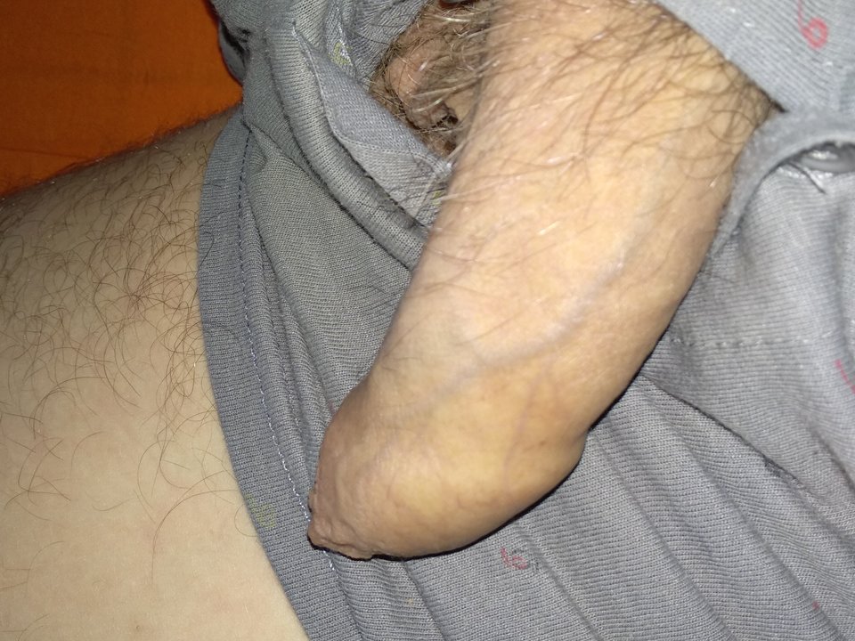 15637736001078460133719000883044.jpg - dupekalex