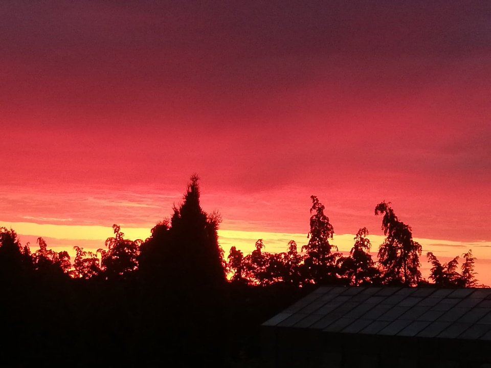 received_779492362447754.jpeg - WielebnydawniejPiercing00