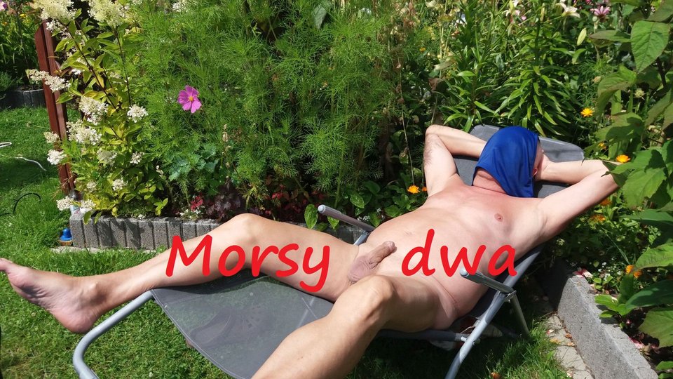 W słonku. - Morsy_dwa