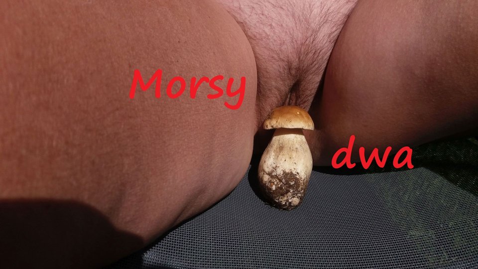 Po zbiorach. - Morsy_dwa