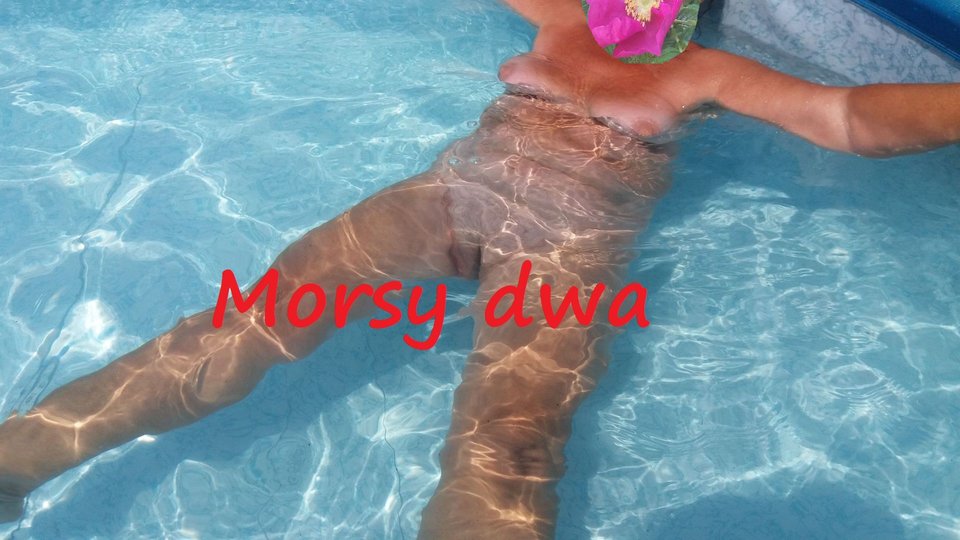 W basenie. - Morsy_dwa
