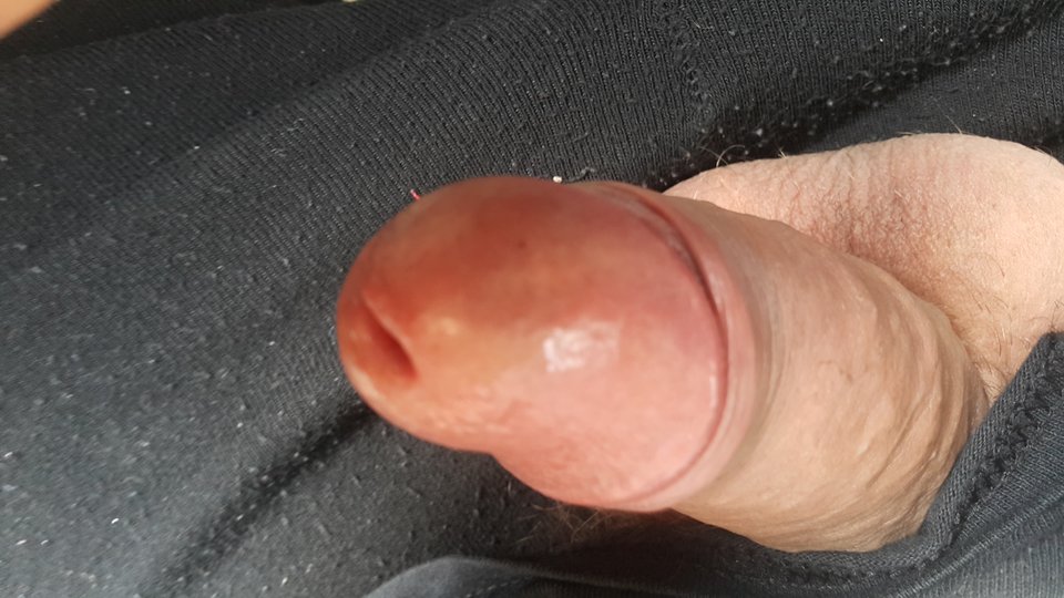 20190721_080951.jpg - Grubasek1970