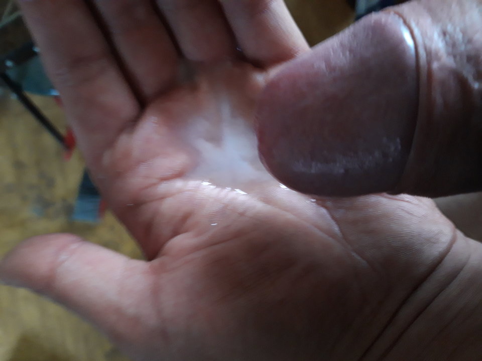 20190723_104256.jpg - Lolek2018