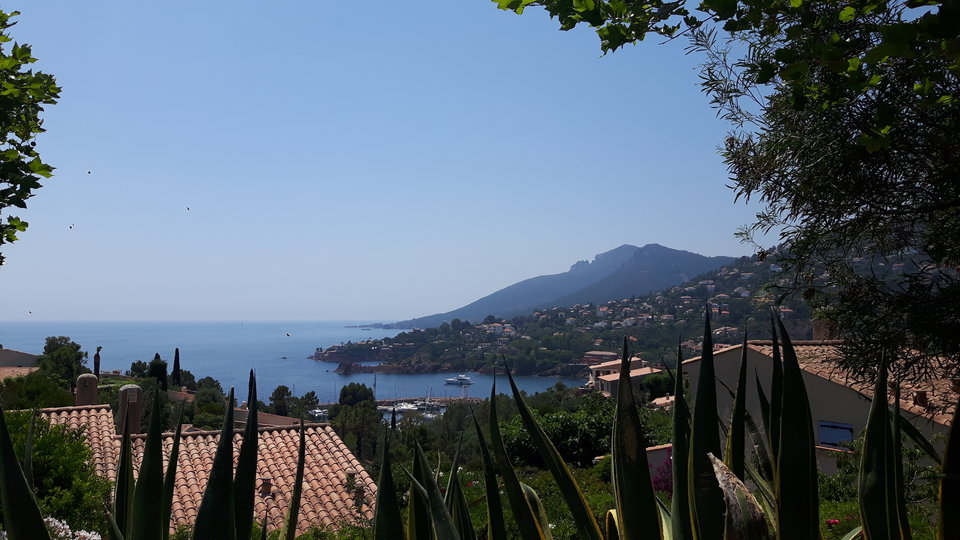 20190701_131846.jpg - Vintage_Cum