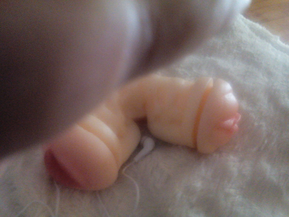 IMG_20190723_201351380044231.jpg - Biker69