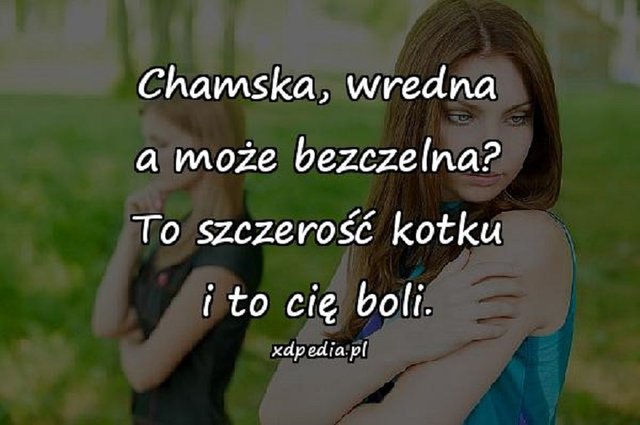 chamska_wredna_a_moze_bezczelna_to_szczerosc_18492.jpg - wredota1987