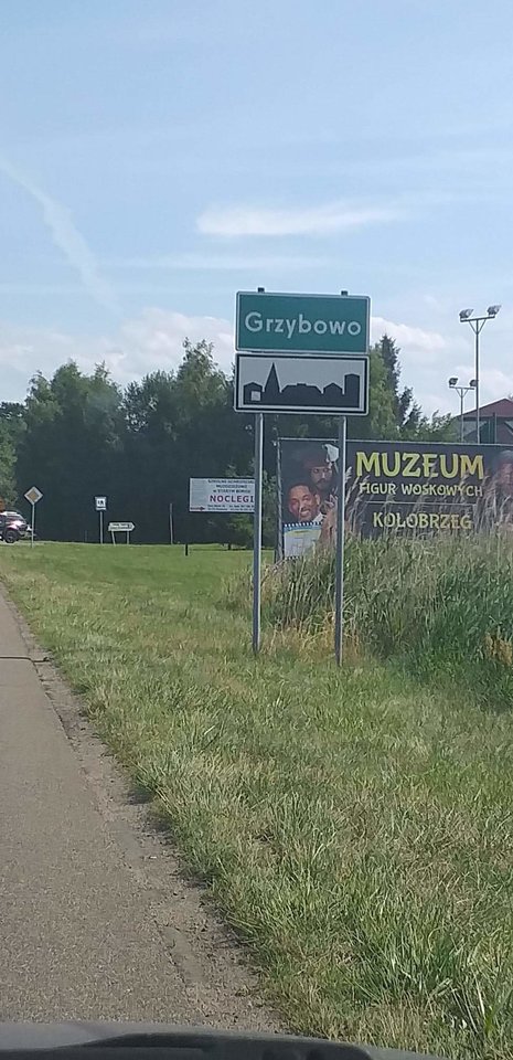 received_2362377137408658.jpeg - Mrowka72