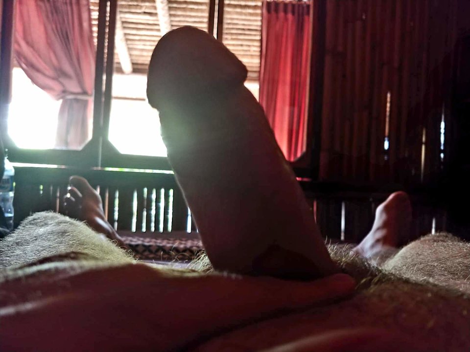 20190724_092455.jpg - aveliaa