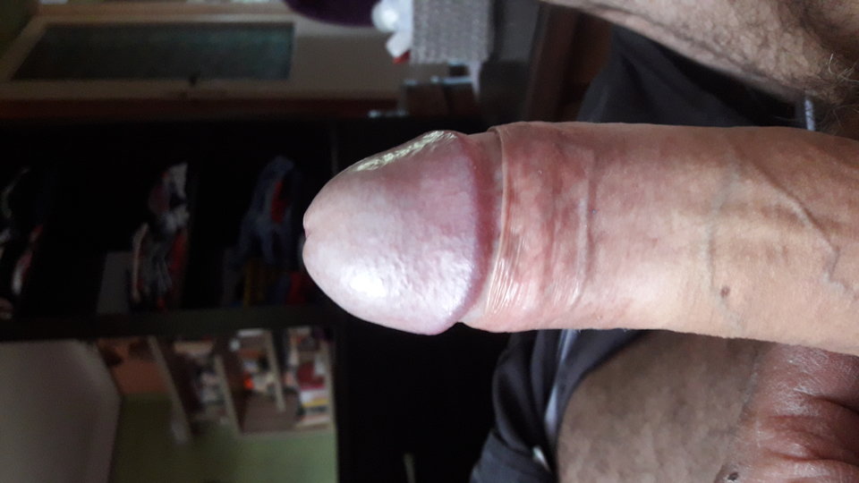 20190724_165121.jpg - gutek1234