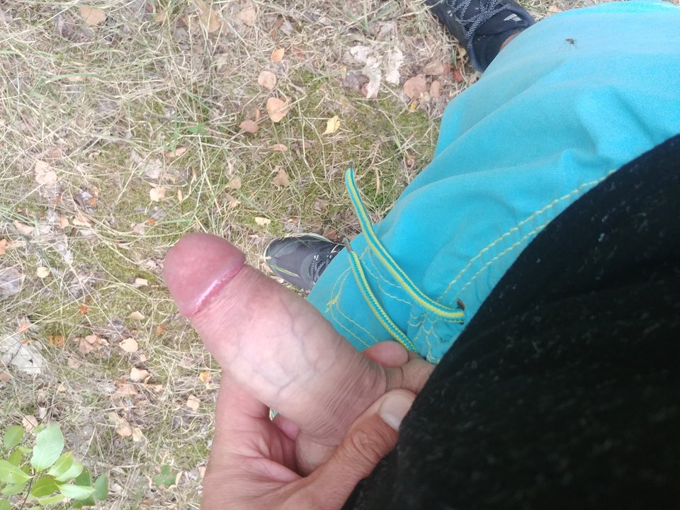 20190717_182628.jpg - Marius8005